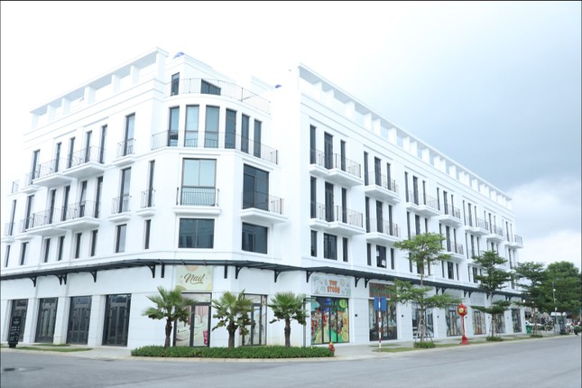 Vlasta – Sầm Sơn: Đưa nghệ thuật vào từng điểm chạm để hạnh phúc thăng hoa ảnh 3