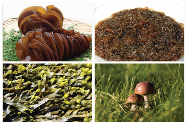 Hợp chất Fucoidan cải thiện sức khỏe bệnh nhân ung thư sau hóa, xạ trị ảnh 2