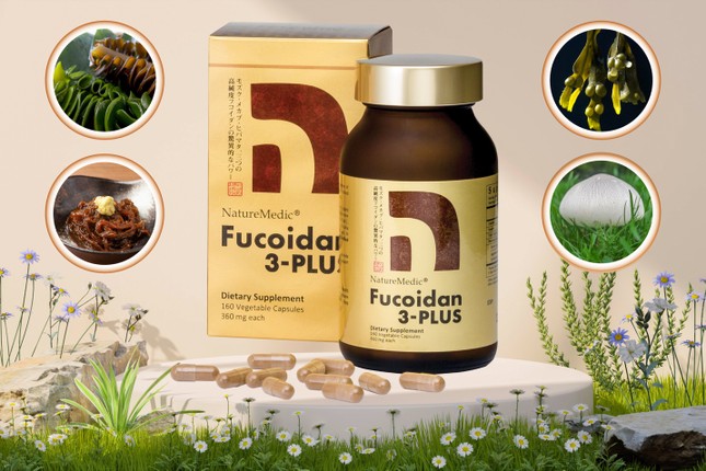 Hợp chất Fucoidan cải thiện sức khỏe bệnh nhân ung thư sau hóa, xạ trị ảnh 3