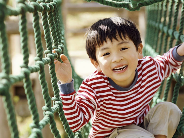 Lợi ích độc đáo giúp 'hạt vàng' đậu nành lên ngôi ảnh 3