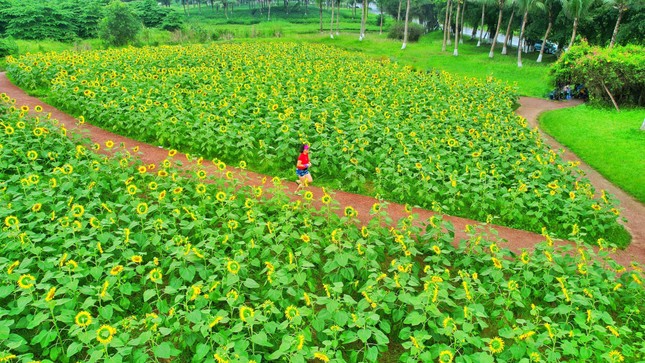 'Thiên đường' của người yêu thể thao trong đô thị xanh lớn nhất miền Bắc ảnh 5