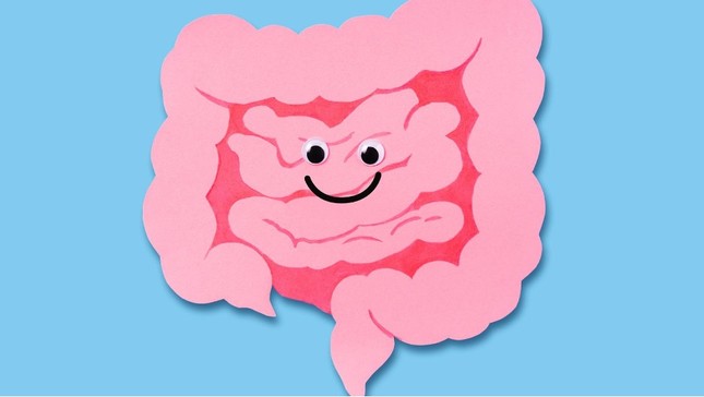 Bạn có biết 'hệ thần kinh ruột' giống như bộ não thứ hai của con người? ảnh 1