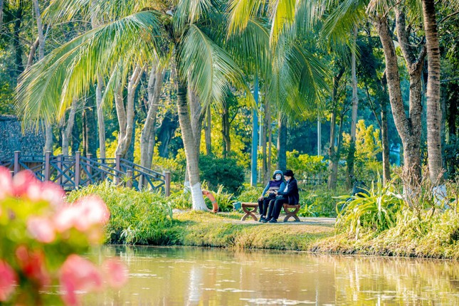 Người già sống lâu, sống khoẻ, sống trẻ, sống vui trong đại đô thị xanh lớn nhất miền Bắc ảnh 7