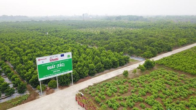 Cùng MC Minh Trang - mẹ 4 con ‘mát tay’ chăm con khỏe, ít cảm ho ảnh 2