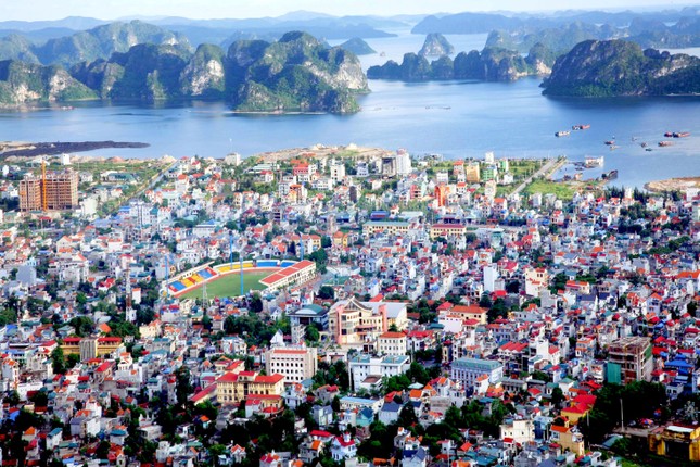 Vịnh giải trí Safabay Cẩm Phả đón đầu chu kỳ tăng trưởng mới của thị trường ảnh 1