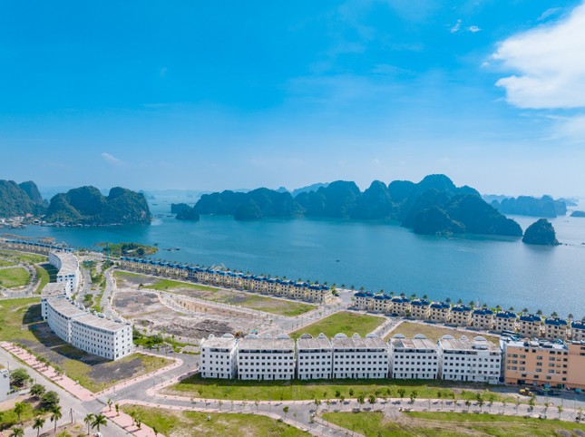 Vịnh giải trí Safabay Cẩm Phả đón đầu chu kỳ tăng trưởng mới của thị trường ảnh 2