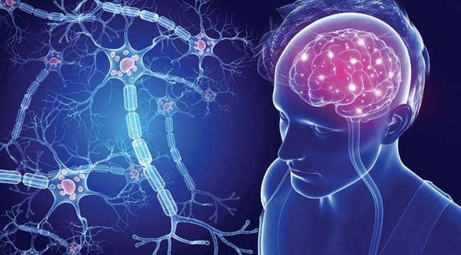 Bạn có biết ‘đường ruột’ ảnh hưởng lớn đến ‘sức khỏe tinh thần?’ ảnh 1