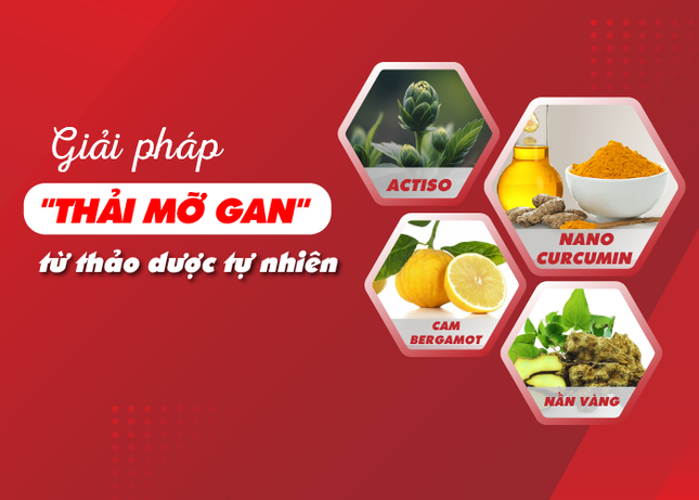 Giải pháp 'thải mỡ gan' từ thảo dược tự nhiên ảnh 1