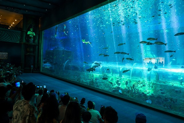Kỳ nghỉ siêu nhạc hội gắn kết gia đình chỉ có ở 8Wonder Winter Festival ảnh 2