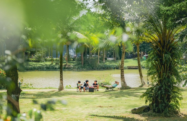 Giáng sinh rực rỡ sắc màu tại “khu rừng pha lê” tuyết trắng Ecopark ảnh 6