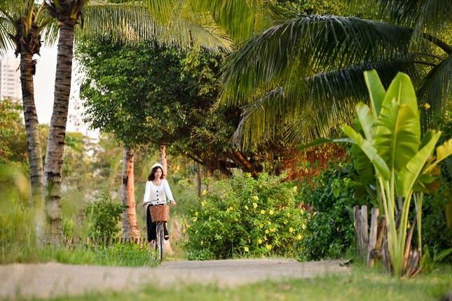 Giáng sinh rực rỡ sắc màu tại “khu rừng pha lê” tuyết trắng Ecopark ảnh 8