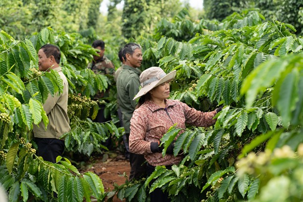 Ba năm liên tiếp Nestlé Việt Nam dẫn đầu Top 100 Doanh nghiệp Bền vững ảnh 4