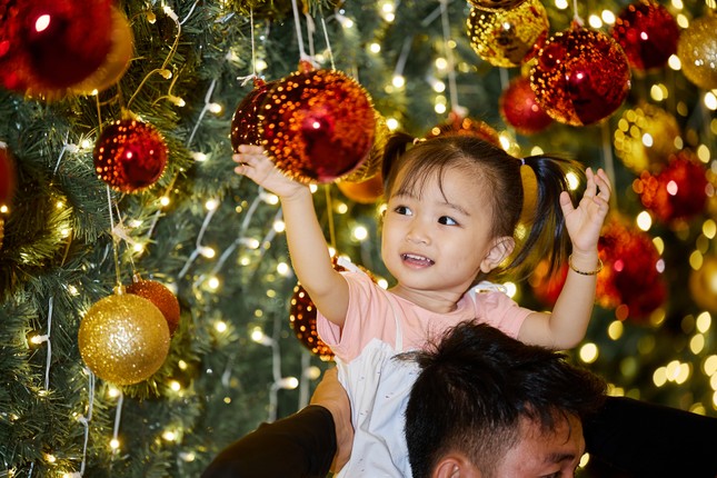 Chiêm ngưỡng cây thông ngàn sao cao 24m thắp sáng Thị trấn Hoàng Hôn mùa lễ hội ảnh 6