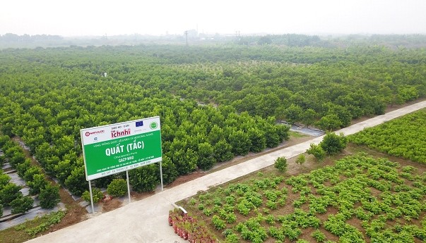 Nam Dược – phát triển vùng trồng chuẩn quốc tế, bảo tồn nguồn gen dược liệu, giúp xóa đói giảm nghèo ảnh 1