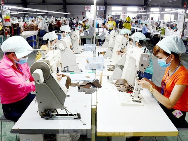 Nhiều doanh nghiệp ở Bình Dương 'cầu cứu' hậu dịch COVID-19 ảnh 1