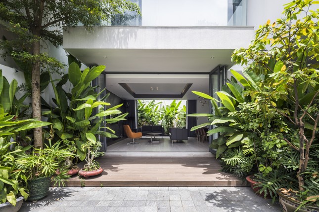 Ngôi nhà tối giản sở hữu hai khu vườn xanh mát ảnh 15