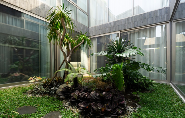 Phong cách nhiệt đới Á Đông kết hợp kiến trúc hiện đại trong căn biệt thự ven sông ảnh 8