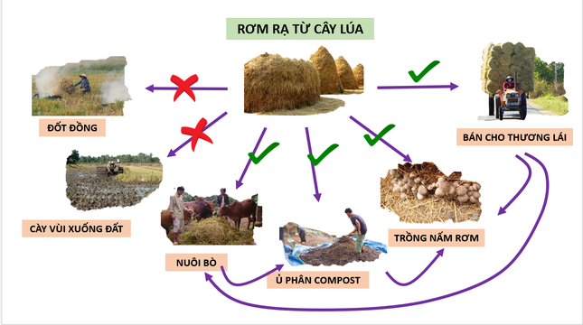 Vì sao nông dân Đồng bằng sông Cửu Long đang ‘nghèo’ dần? ảnh 2