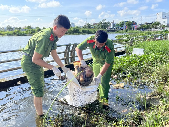  Tuổi trẻ Cần Thơ cần góp sức giải quyết việc mới, việc khó của cộng đồng ảnh 3