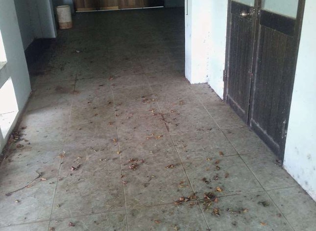 Trường đại học xây hàng chục tỷ đồng bỏ hoang nhiều năm ảnh 12