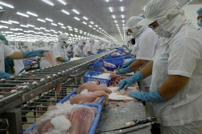 Mỹ công bố Luật công nhận Việt Nam đủ điều kiện xuất khẩu cá da trơn ảnh 1