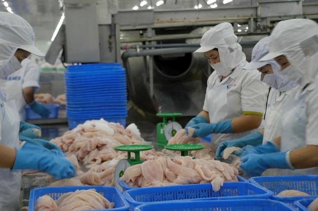 Chi tiết chương trình kiểm soát cá da trơn xuất khẩu sang Mỹ ảnh 1