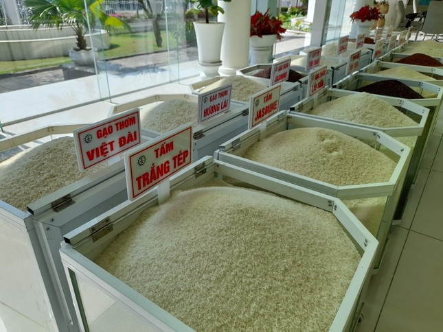 Xuất khẩu gạo đầu năm 2021 ‘hạ nhiệt’ ảnh 1