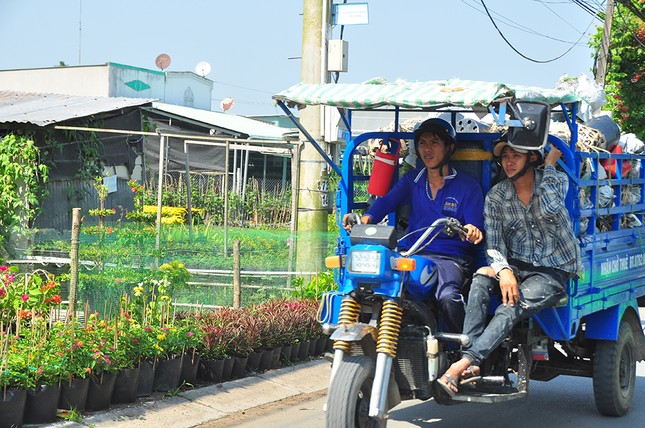 Xe kẹt cứng ở làng hoa Sa Đéc lớn nhất miền Tây ảnh 14