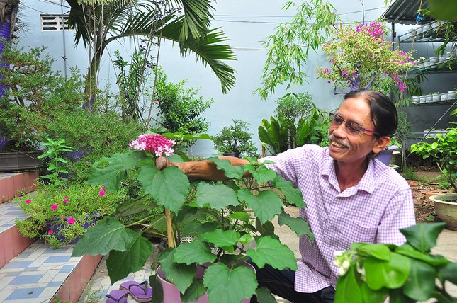 Thủ phủ hoa lớn nhất miền Tây chuẩn bị gần 3 triệu giỏ hoa phục vụ Tết ảnh 4