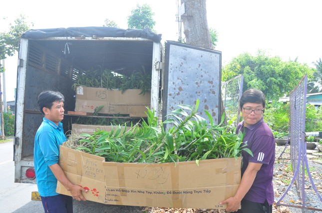 Thủ phủ hoa lớn nhất miền Tây chuẩn bị gần 3 triệu giỏ hoa phục vụ Tết ảnh 6