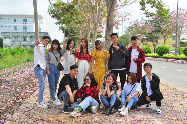 Con đường hoa kèn hồng ở miền Tây lung linh như phim Hàn thu hút giới trẻ ảnh 10