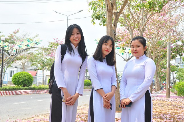 Con đường hoa kèn hồng ở miền Tây lung linh như phim Hàn thu hút giới trẻ ảnh 2