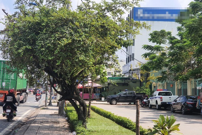 Hai đối tượng cầm vật giống súng cướp ngân hàng ở vùng ven TPHCM ảnh 2
