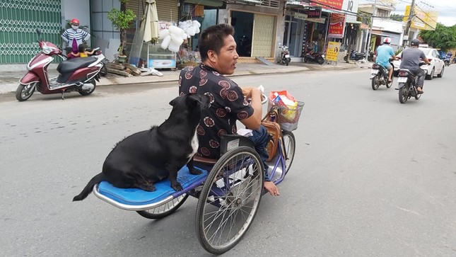 Chú chó ngậm vé số theo chủ tật nguyền mưu sinh ở Phú Quốc ‘đốn tim’ dân mạng ảnh 3