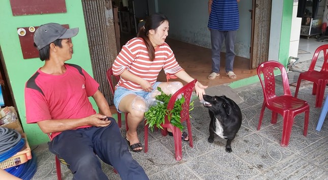 Chú chó ngậm vé số theo chủ tật nguyền mưu sinh ở Phú Quốc ‘đốn tim’ dân mạng ảnh 2