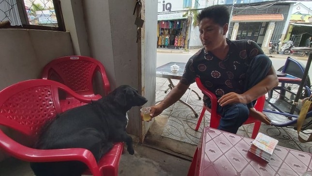 Chú chó ngậm vé số theo chủ tật nguyền mưu sinh ở Phú Quốc ‘đốn tim’ dân mạng ảnh 5