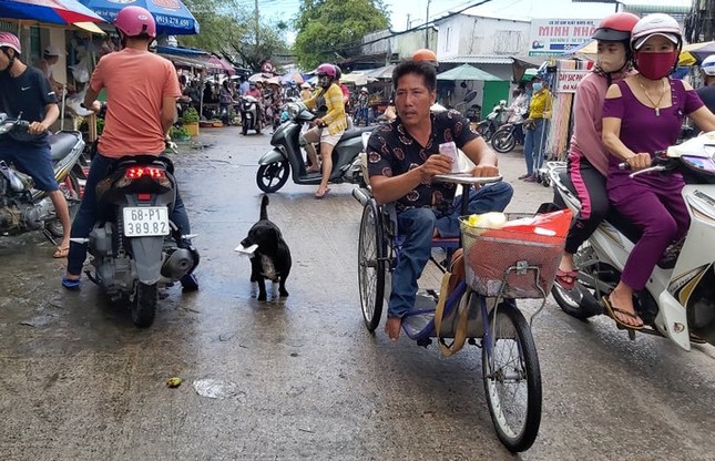 Chú chó ngậm vé số theo chủ tật nguyền mưu sinh ở Phú Quốc ‘đốn tim’ dân mạng ảnh 1