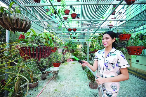 Tết năm nay của gia đình Hoa hậu Đỗ Thị Hà ảnh 1