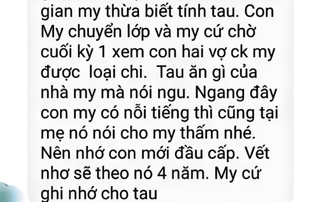 Nữ giáo viên phải giải trình, mất chức tổ trưởng sau tố cáo của phụ huynh ảnh 2