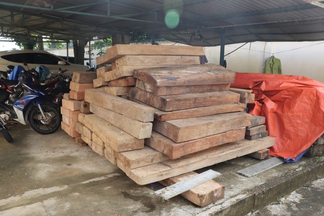 Tin mới vụ gỗ lậu trên đất của Trưởng phòng Nội vụ ở Quảng Nam ảnh 3