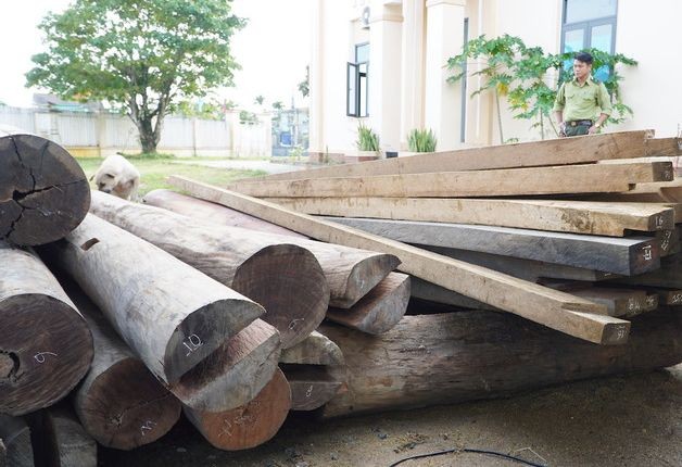 Tin mới vụ gỗ lậu trên đất của Trưởng phòng Nội vụ ở Quảng Nam ảnh 1
