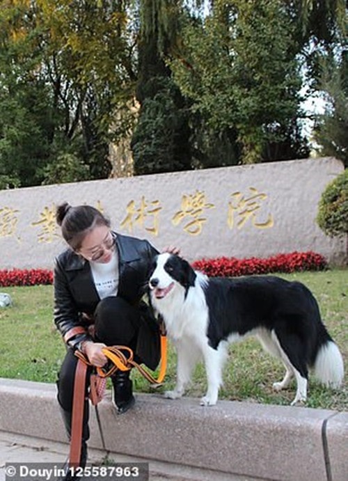 Xem lại camera gia đình, cô gái bất ngờ khi biết chú chó ở nhà làm những gì khi cô đi làm ảnh 1