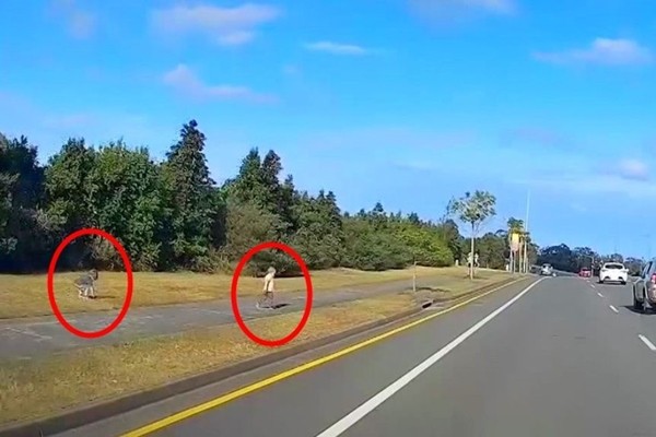 Hai cô bé 2 tuổi trốn khỏi nhà trẻ mà cô giáo không hay biết, đi chơi lang thang khắp nơi ảnh 1