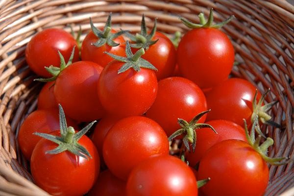 Những sai lầm tai hại khi ăn cà chua có thể khiến bạn ngộ độc, suy giảm chức năng thận ảnh 2