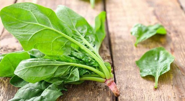 Rau chân vịt ngừa ung thư, cực bổ dưỡng nhưng cũng có thể gây hại đủ đường nếu ăn sai cách ảnh 1