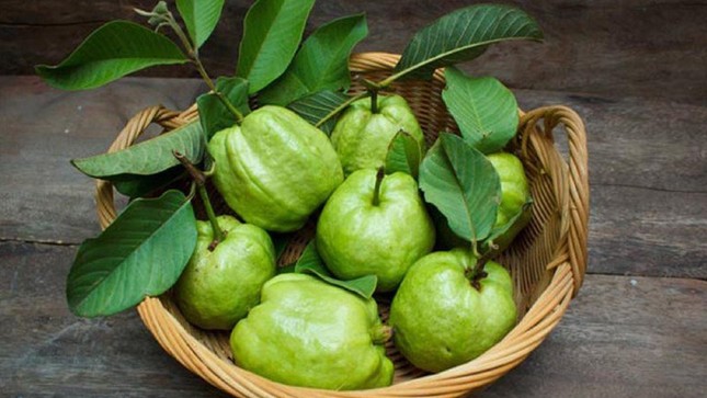 Những người mắc các bệnh sau không nên ăn ổi kẻo 'hại đủ đường' ảnh 1