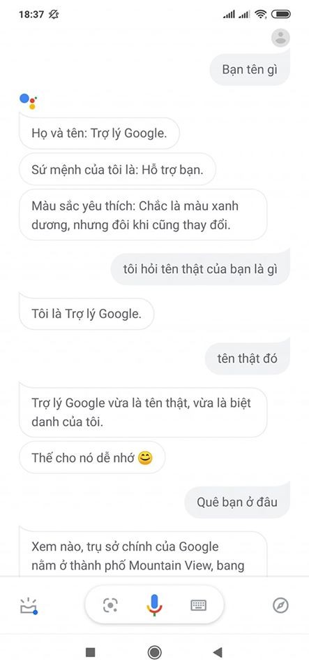 Mặc kệ trứng rán hay bắp cần gì, F.A chỉ cần chị “Trợ lý Google” để tâm sự thôi ảnh 1