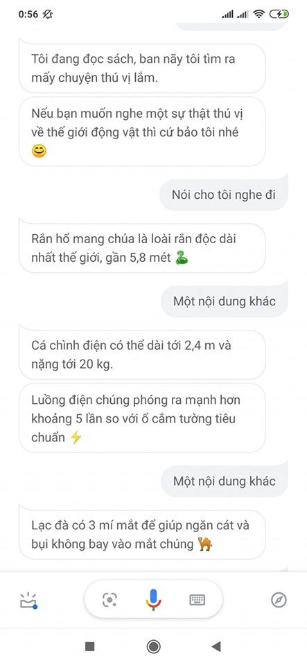 Mặc kệ trứng rán hay bắp cần gì, F.A chỉ cần chị “Trợ lý Google” để tâm sự thôi ảnh 8