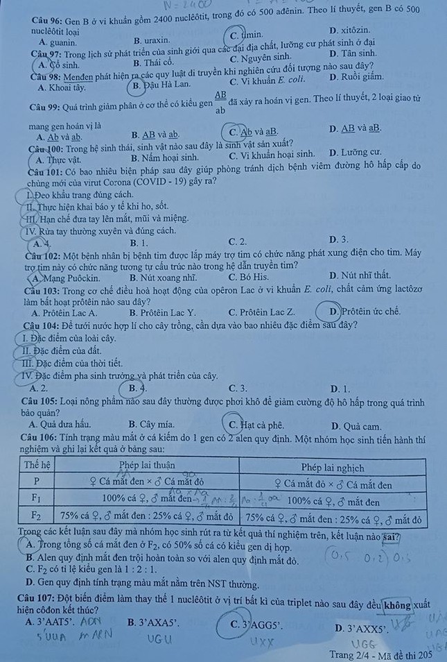 So ngay đáp án bài thi tổ hợp Khoa học Tự nhiên của kỳ thi Tốt nghiệp THPT 2020 ảnh 3