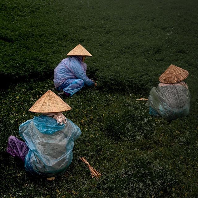 Xem loạt ảnh của nhà báo Mỹ sẽ hiểu tại sao người nước ngoài “phải lòng” Việt Nam ảnh 6